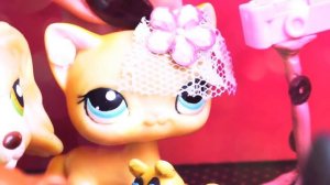 LPS История О Том Как ПЕТЫ САМИ СНЯЛИ ВИДЕО ПРО ПЕТОВ!