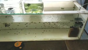 Стеллаж для аквариумов, хочу сделать новый (ОГОГО какой)