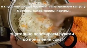 Как заквасить капусту