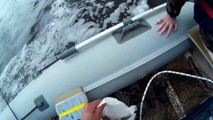 [Часть#1] Троллинг на Северной Двине (Воблер "Серебряный ручей" Silver creek-z)