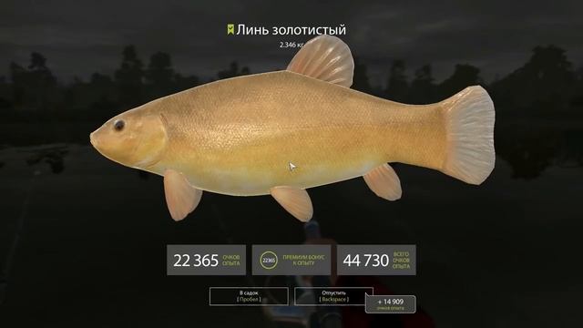 ⏩ЛИНЬ ЗОЛОТИСТЫЙ⏪ОЗ.МЕДВЕЖЬЕ (РР4 , RF4)