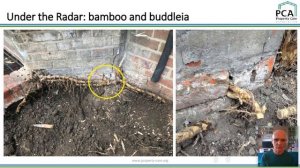 Under the Radar   Buddleia & Bamboo   Webinar