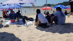 Почему корейцы боятся воды # 왜 한국 사람들은 수영 못 할까요?