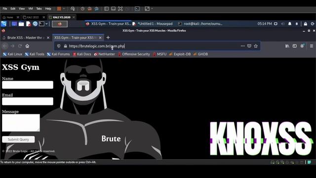 Install and use of XSStrike to find XSS vulnerabilities смотреть онлайн