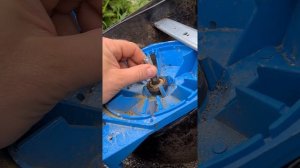 Мотор от насоса в газонокосилку. Эксперимент. Часть 1.