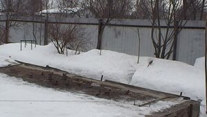 Ловля певчих птиц. ВНИМАНИЕ !!! РАБОТАЕМ ТАЙНИКОМ.