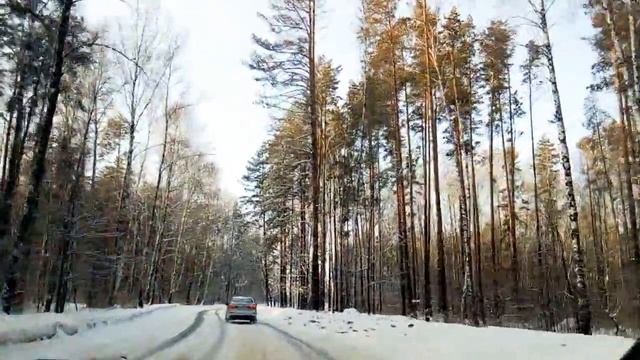 Красота зимнего леса