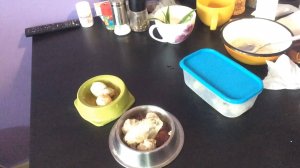 Питание домашнего ворона.