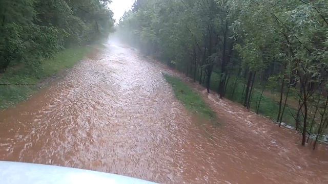 Порог. Наводнение. Дорога на поле. 26.06.19 смотреть онлайн