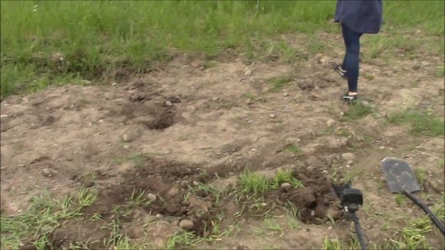 Ретро техника и поиск монет у старых лип