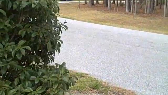 new exhaust on my 1999 mercury cougar смотреть онлайн