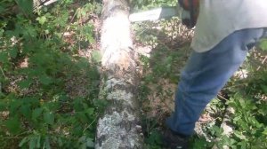 Штиль 180/stihl ms 180