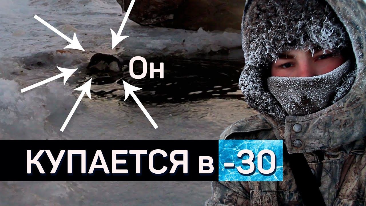 Купание в КУПЕЛИ в МИНУС 30 | Республика Коми | СЕВЕР