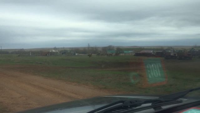 Башкирский жеребец,2 года защищает свой косяк.Айгыр.Башкирская порода лошадей.Кони. 2022г. смотреть онлайн