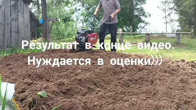 Решили заложить грядки под клубнику, мотоблок Ока обработка огорода , результат в конце видео!!!!