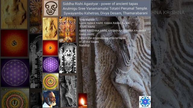 Siddha Rishi Agastyar Tapas, Vanamamalai Totatri Perumal Lord Vishnu Temple- Hare Krishna ? смотреть онлайн