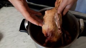 Болезни уток