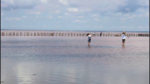 Такое разное озеро Сасык-Сиваш. Бесплатная целебная водичка Саки и пляжи Прибрежного.