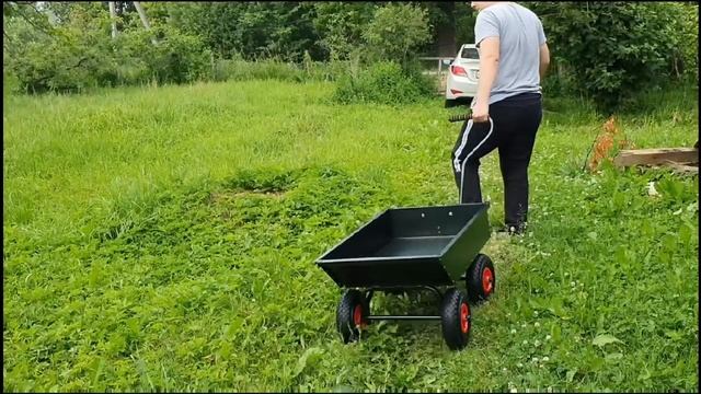 Навела порядок в теплице. Пасынкование томатов.
