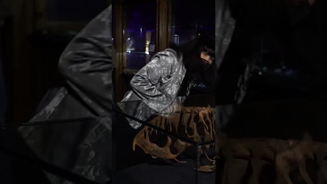 Альфа-самец мое второе имя смотреть онлайн