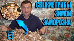 СВЕЖИЕ ОПЯТА ЗИМОЙ. ЗАМОРОЗКА ГРИБОВ НА ЗИМУ. РЕЦЕПТЫ И ЗАГОТОВКИ. ЗАМОРОЗКА ЧАСТЬ 2