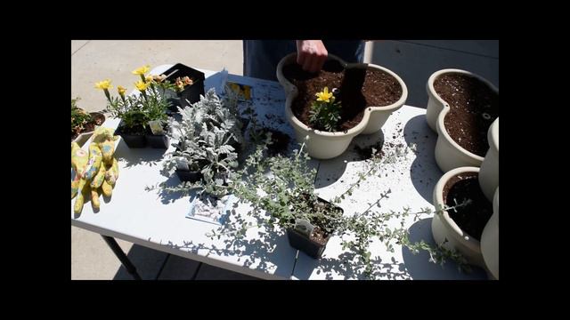 Container Planting - Adding Beautiful Color & Greenery to our 5-Tier Vertical Planter! | Mini Garde смотреть онлайн