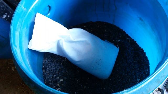 Сушим зерно при помощи обычной соли. смотреть онлайн