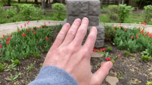 АЙФОН SE 2020 ДНЕМ КРУТО СНИМАЕТ