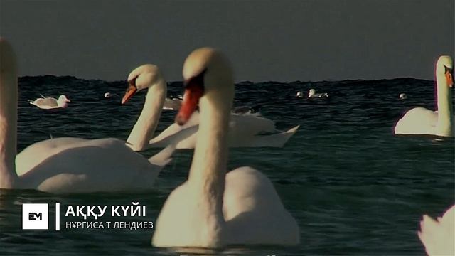 АҚҚУ КҮЙІ | НҰРҒИСА ТІЛЕНДИЕВ