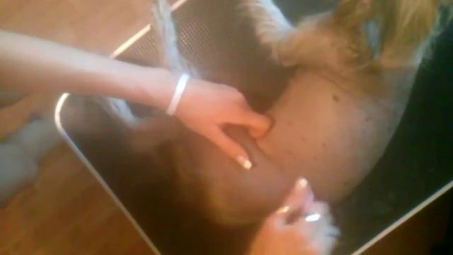 Эпиляция КХС (Диковинка Ева) смотреть онлайн