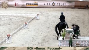 07.11.2023 Всероссийские соревнования по конному спорту