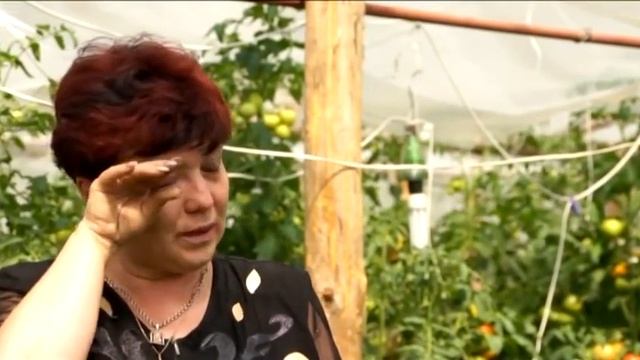Биопрепарат Байкал ЭМ  для почвы, питания растений через корень и листовых подкормок