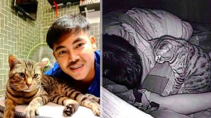Житель Таиланда установил камеру и увидел, чем занят его кот когда он спит