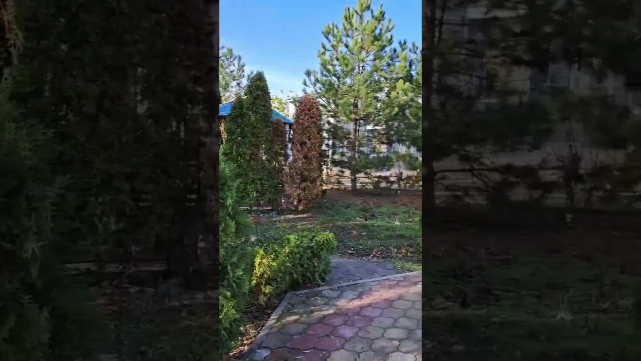 Территория санатория "Лаба"