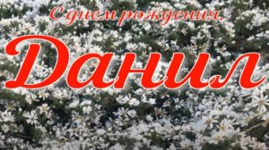 ДАНИЛ, С ДНЕМ РОЖДЕНИЯ