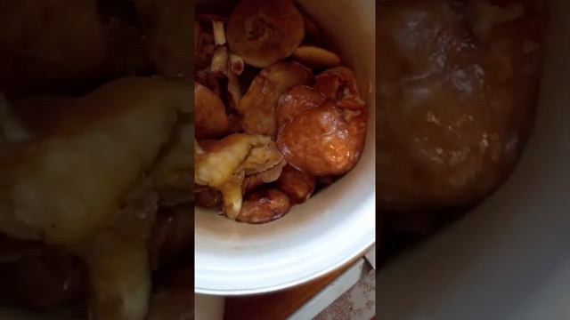 Много грибов . Чистые маслята . Грибное лето удалось . Грибы . Какие съедобные. Сбор грибов. В лесу