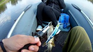 Взял жену на рыбалку, ловля щуки на спиннинг