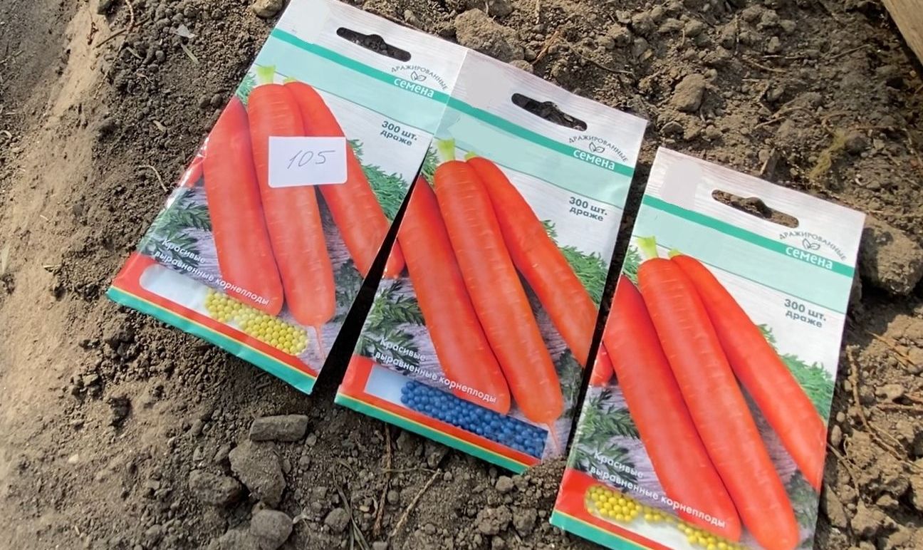 Не Морковь, а ЗОЛОТО! Её сажают УЖЕ ВСЕ мои знакомые !!! смотреть онлайн