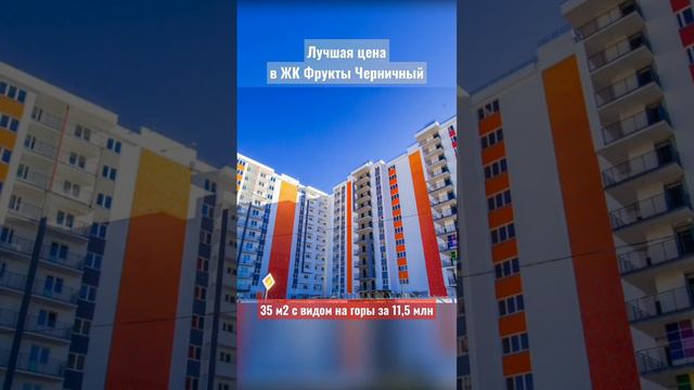 Лучшая цена в ЖК Фрукты Черничный. Квартира с видом на горы.