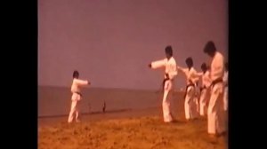 Нанбу Йошинао -  основатель школы Санкюкай