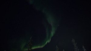 Живое видео северного сияние в Мурманске | Live video of the Northern Lights in Murmansk, Russia