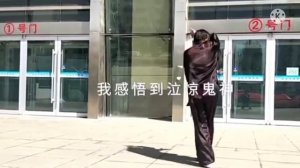 Фаньцзыцюань стиля Чжунхуа.