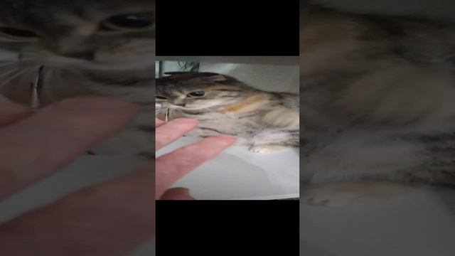 жизнь Строителя