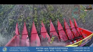 Жатка НАШ для подсолнечника