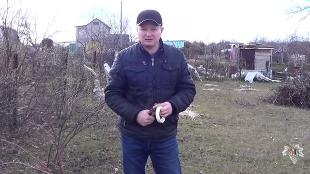 Недостатки прививки плодовых деревьев на "Подвое М9" смотреть онлайн