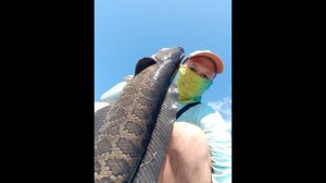 Ловля древнейшей рыбы. ЗМЕЕГОЛОВ. SNAKEHEAD!