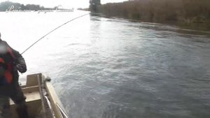 Мощные поклёвки рвут спиннинг из рук! ? Ловля жереха на воблеры крэнки. ?