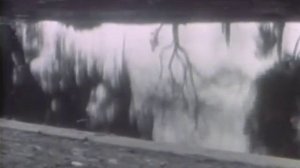 Q LAZZARUS  Goodbye Horses Original Video