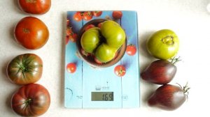 ЗЕЛЁНЫЕ ПОМИДОРЫ - ЭТО ВКУСНО! СОРТ ТОМАТА БОЛЬШОЙ ЗЕЛЁНЫЙ ГНОМ