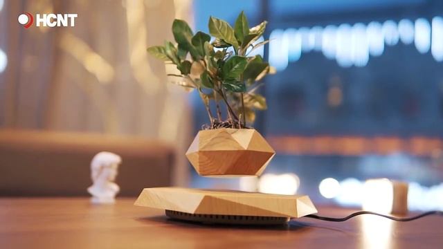 Левитирующий горшок Wood на шестиугольной платформе светлое дерево смотреть онлайн